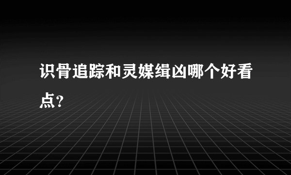 识骨追踪和灵媒缉凶哪个好看点？