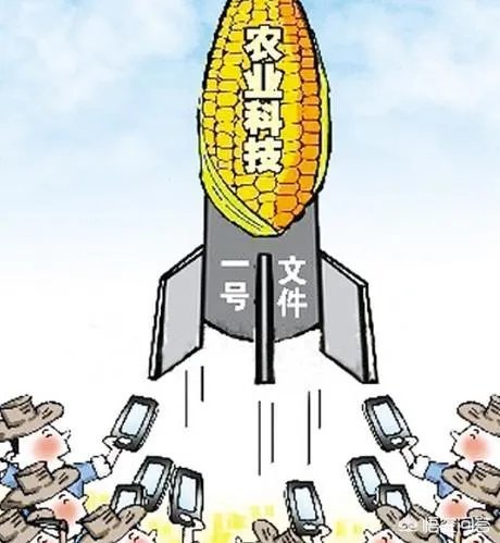 农业科技创新？