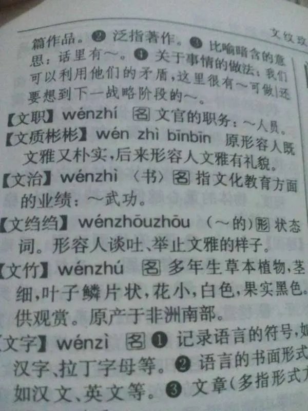 文质彬彬是什么意思啊！