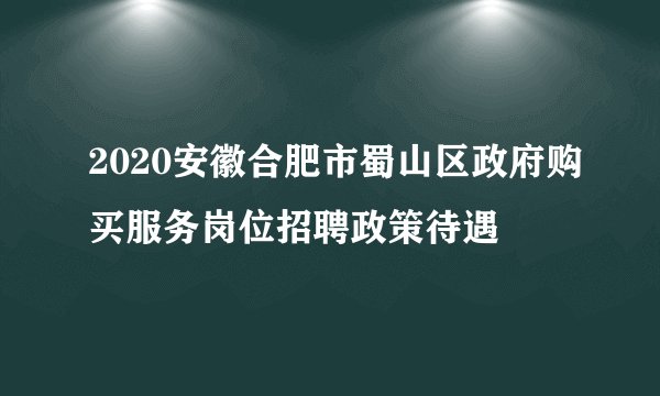 2020安徽合肥市蜀山区政府购买服务岗位招聘政策待遇