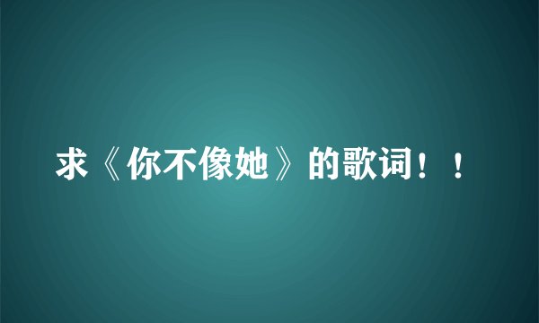 求《你不像她》的歌词！！
