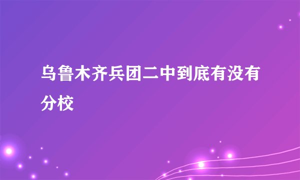 乌鲁木齐兵团二中到底有没有分校