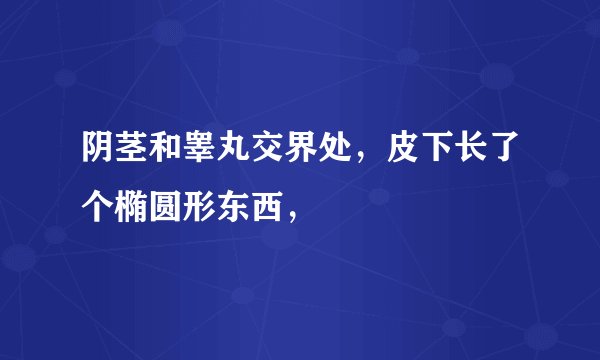 阴茎和睾丸交界处，皮下长了个椭圆形东西，