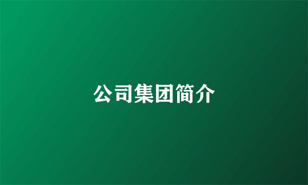 公司集团简介