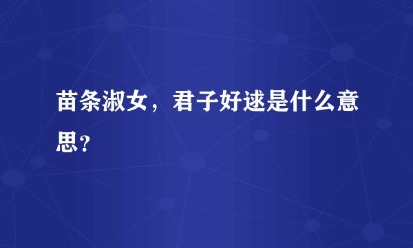 苗条淑女，君子好逑是什么意思？