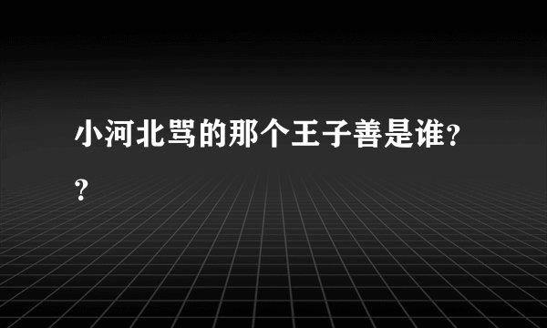 小河北骂的那个王子善是谁？？