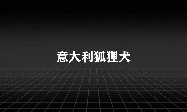 意大利狐狸犬