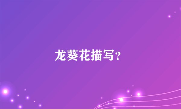 龙葵花描写？