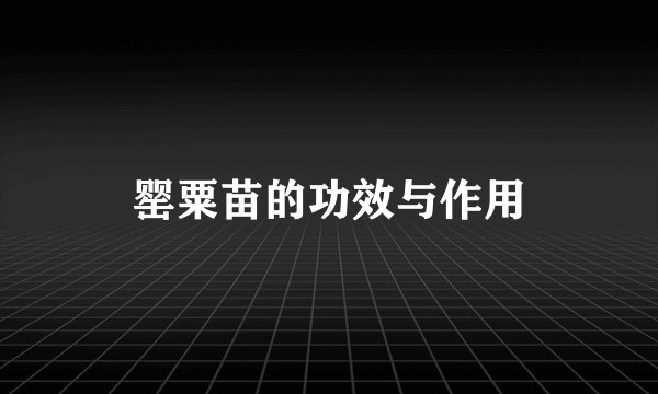 罂粟苗的功效与作用