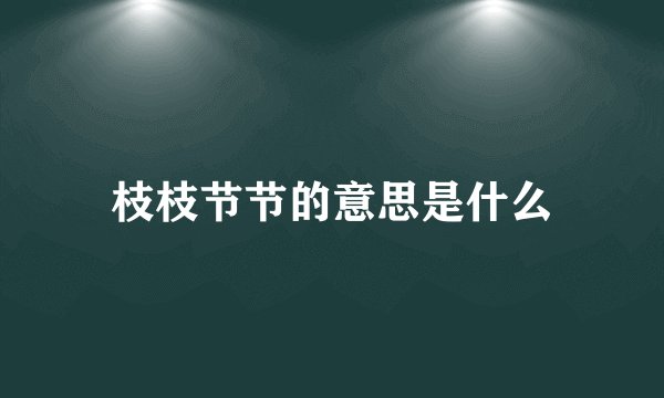 枝枝节节的意思是什么