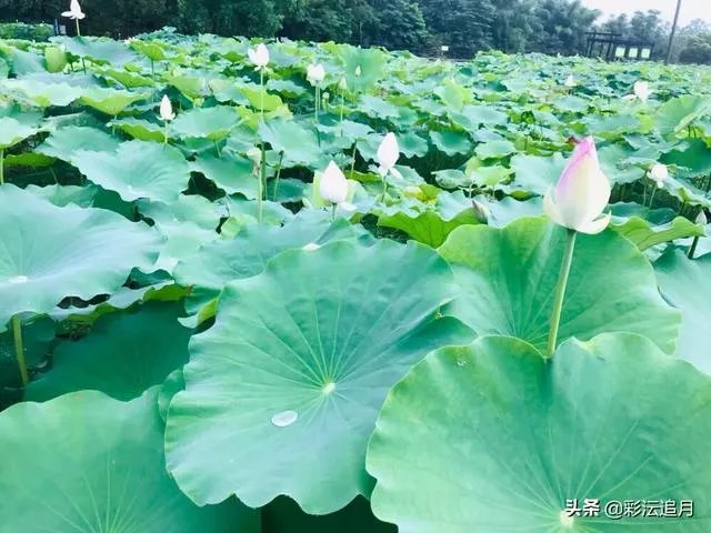 旅游摄影,你喜欢去哪些地方拍摄?