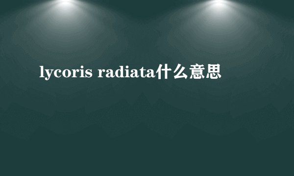lycoris radiata什么意思