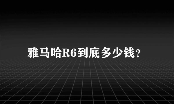 雅马哈R6到底多少钱？