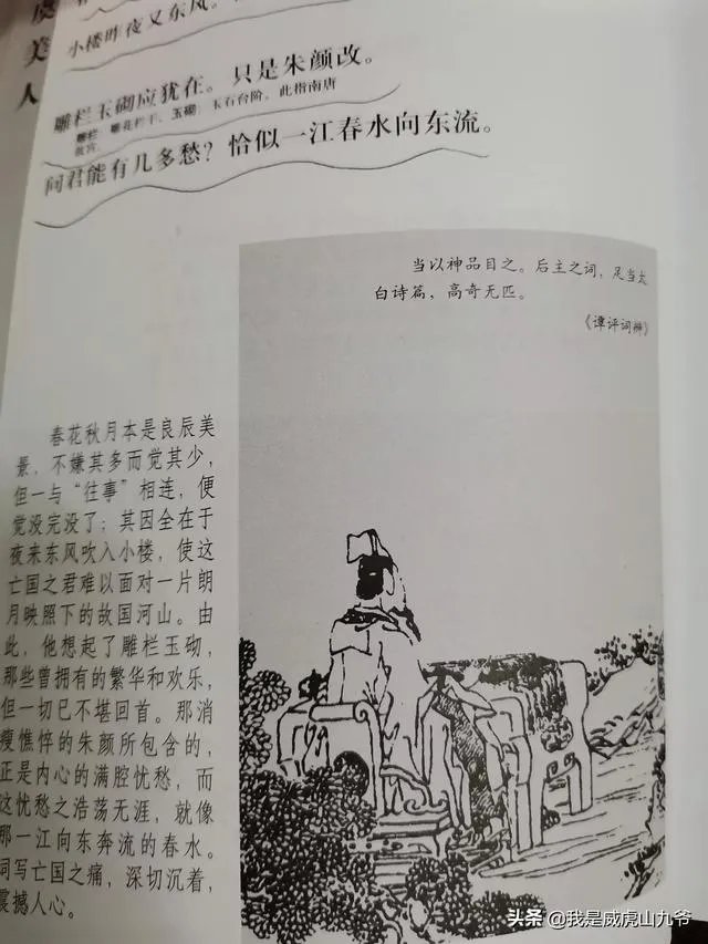 请问文史、文学、文化三者之间的区别与联系？