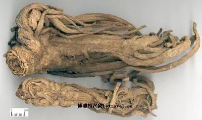 恩施有哪些土特产？