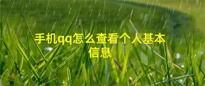 手机qq怎么查看个人基本信息