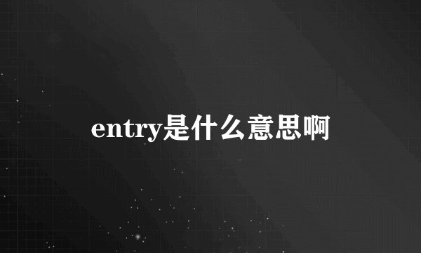 entry是什么意思啊