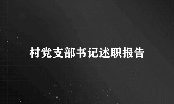 村党支部书记述职报告