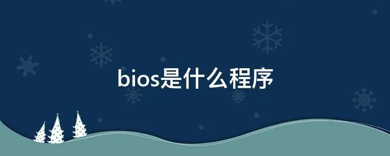 bios是什么程序