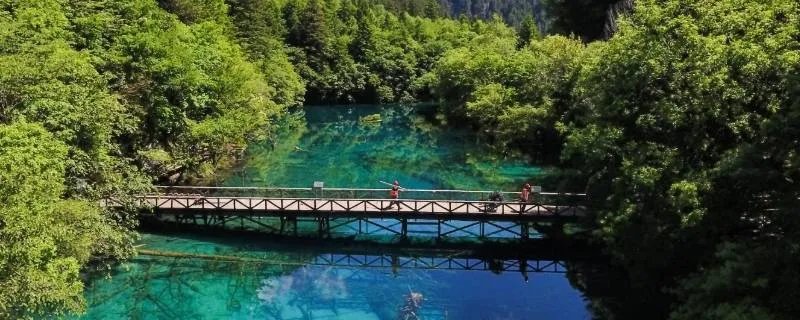 九寨沟在哪儿