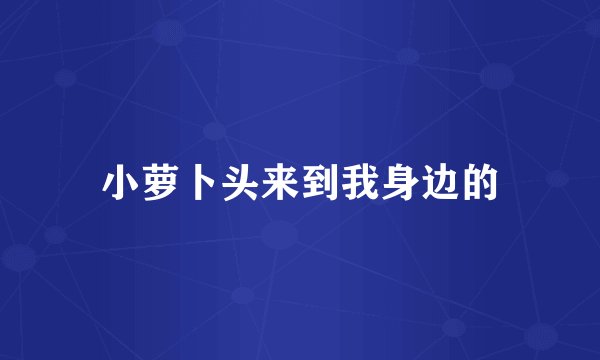 小萝卜头来到我身边的