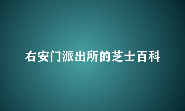 右安门派出所的芝士百科