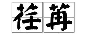 荏苒怎么读