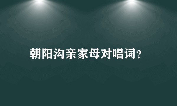 朝阳沟亲家母对唱词？