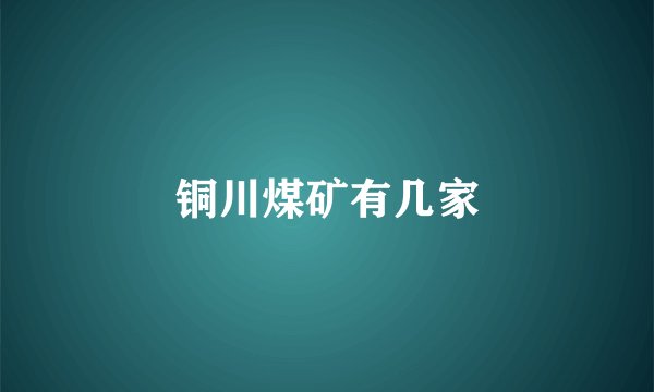 铜川煤矿有几家