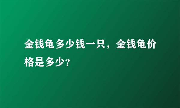 金钱龟多少钱一只,金钱龟价格是多少?