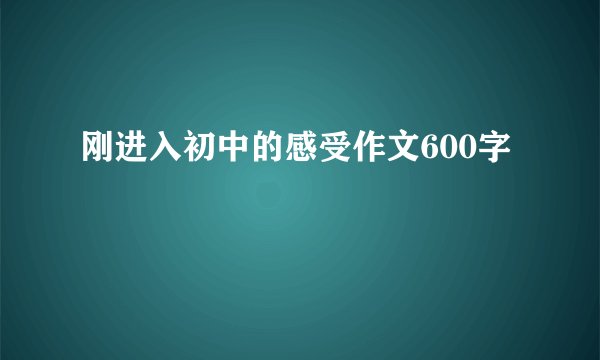 刚进入初中的感受作文600字