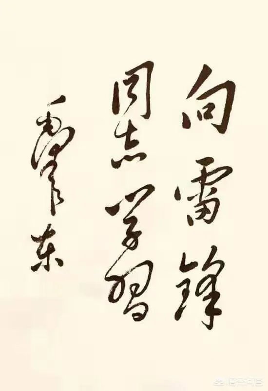 如何看奔驰维权女车主薛春艳开微博发讨伐檄文遭大型翻车现场？