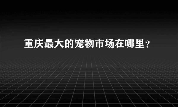 重庆最大的宠物市场在哪里？