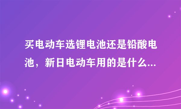 买电动车选锂电池还是铅酸电池，新日电动车用的是什么牌子的电池？
