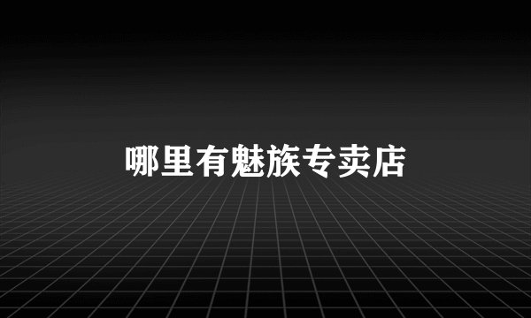哪里有魅族专卖店