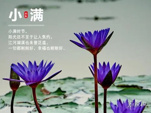 小满祝福图片有哪些 小满节气图片大全