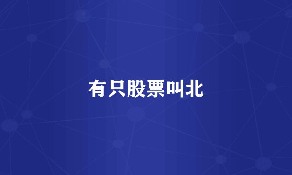 有只股票叫北