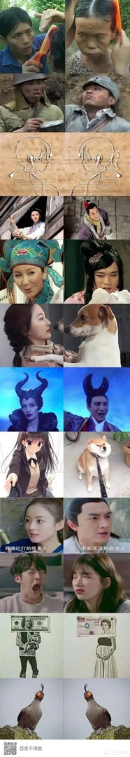 大家分享一下最搞笑的头像图片？