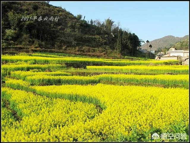 云南贵州旅游攻略