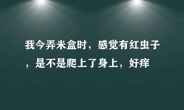 我今弄米盒时，感觉有红虫子，是不是爬上了身上，好痒
