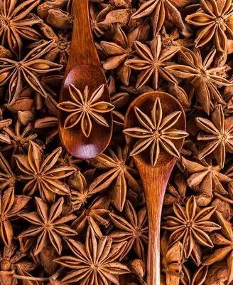 八角茴香是植物的什么 八角茴香的禁忌