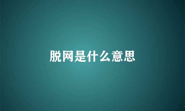 脱网是什么意思