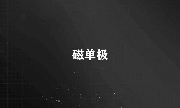 磁单极