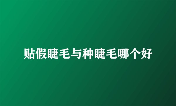 贴假睫毛与种睫毛哪个好