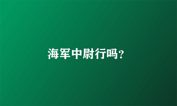 海军中尉行吗？