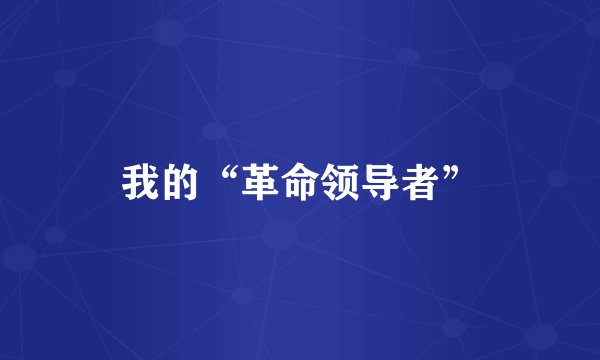 我的“革命领导者”