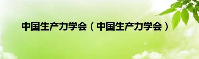 中国生产力学会（中国生产力学会）