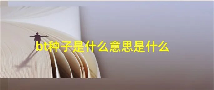 bt种子是什么意思是什么