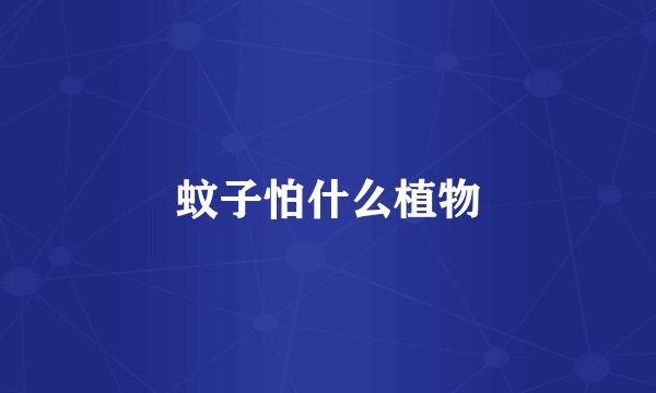 蚊子怕什么植物