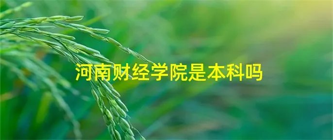 河南财经学院是本科吗